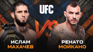 UFC 311 Ислам Махачев — Ренато Мойкано (19.01.2025)